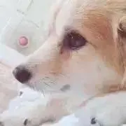 m。