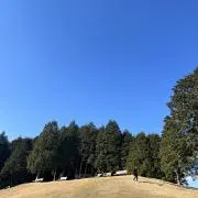 な