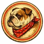日々の整理｜断捨離中