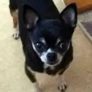 Rico