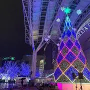 もすの画像