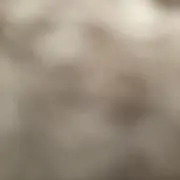 AＢC