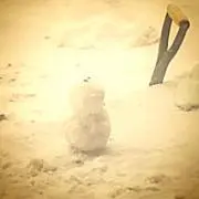 ミント