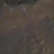 のすけ