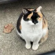 みるの画像
