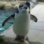 mingの画像