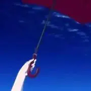 ともの画像