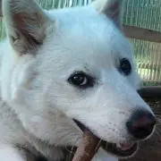 るる