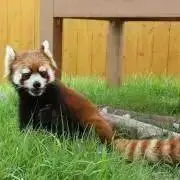 ME⭐︎購入前コメントお願いします。の画像