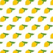 ^o^