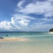 shojiの画像
