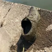 シマノもダイワもLOVE
