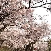 即購入OK✨匿名発送✨交渉ok✨まどまどの画像