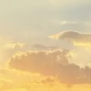みんみんの画像