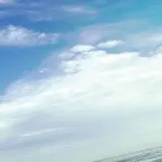 みずき