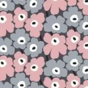 ＊natsupom＊の画像