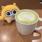 わらびもちの画像
