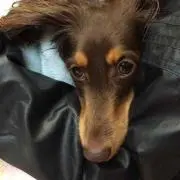めぐ