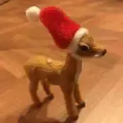 くろの画像