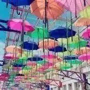 きよの画像