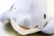 幸せシャツ