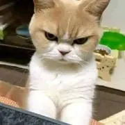 みんなの場所の画像