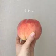 もりのくまの画像