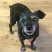 アルチビ