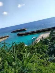 ぼちぼちいこか❣の画像
