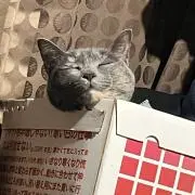 はるけい
