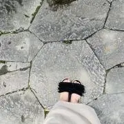 おこめの画像