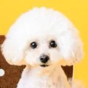 ナークの画像