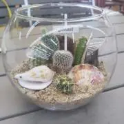 床の画像