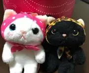 あんずの画像