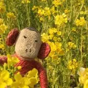 プロフィール読んで下さい★ポテチ★の画像