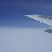 ミヤモトの画像