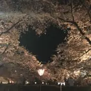 ゆうちゃんの画像