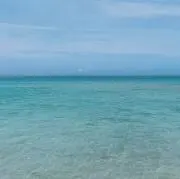 MS
