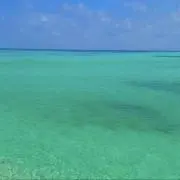 Seaの画像
