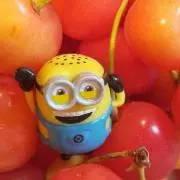 キナコ