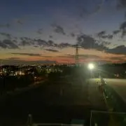 ジョーの画像