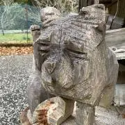 sakuraの画像