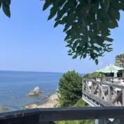 断捨離再開の画像