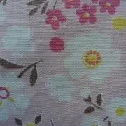 あおぞら　さくらの画像