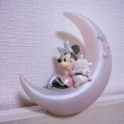 moon⭐︎値下げ依頼お気軽にどうぞの画像