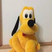 りんごんの画像