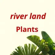 river land plansの画像