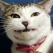 こち山の画像