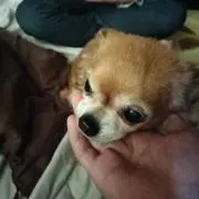 kuちゃん