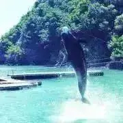 ゆっくりの画像